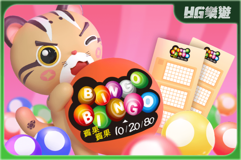 bingo bingo 賓果賓果